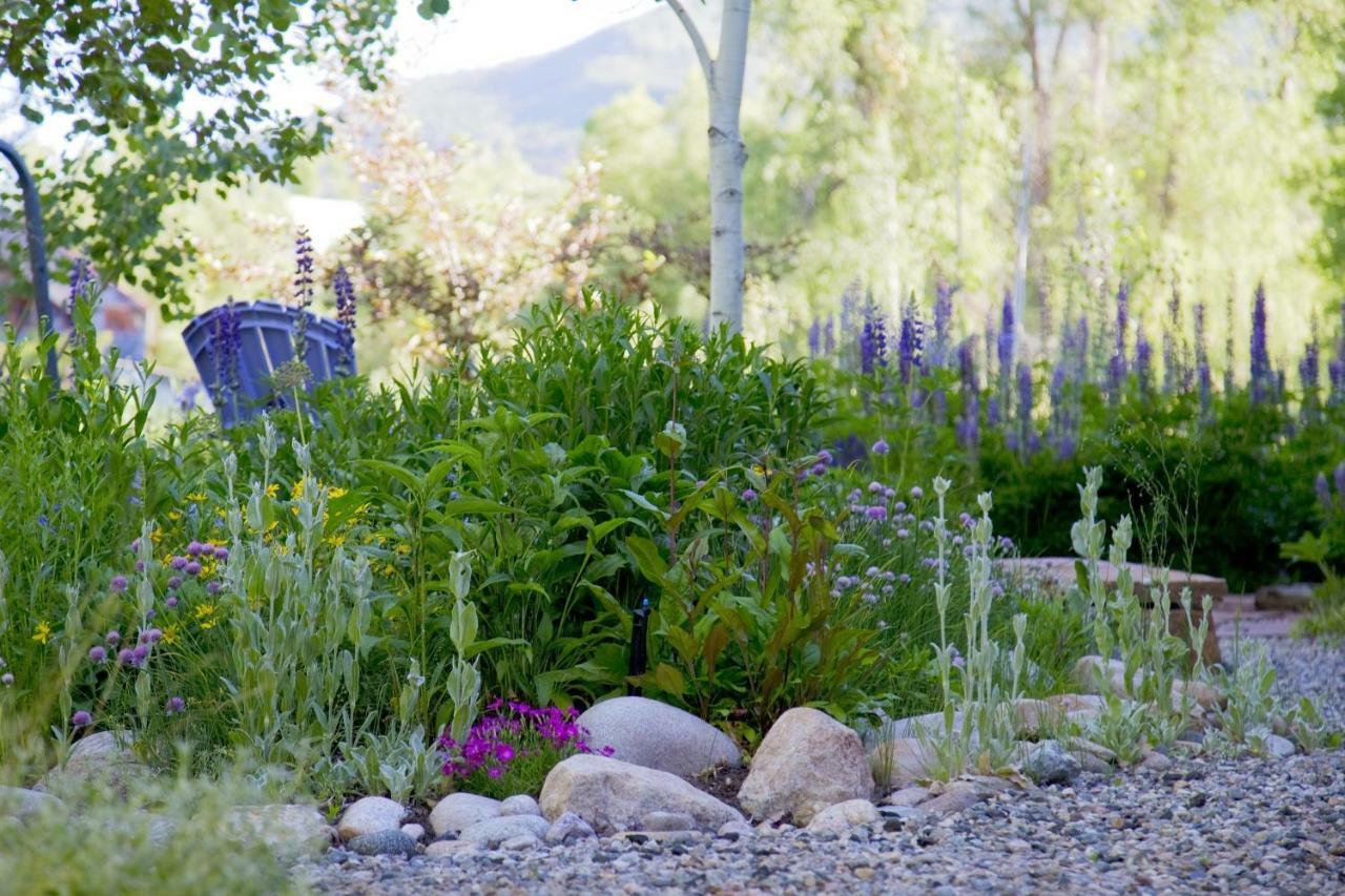 Mariposa Lodge Bed&Breakfast Steamboat Springs Exterior foto